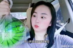 视频吃瓜网红在线观看,揭秘娱乐圈幕后故事