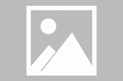发疯文化当老登文学开始变成小登发疯时