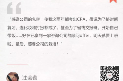 cpa小姐姐文案,揭秘财务领域的魅力与挑战