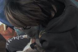 快手网红吃瓜搞笑头像,趣味横生的网络表情盛宴