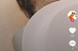 吃瓜猫抖音网红,抖音网红的美食之旅