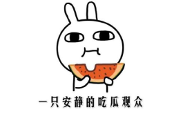 吃瓜网战,揭秘网络舆论场的风云变幻