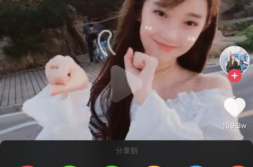 小姐姐横版动态壁纸下载,小姐姐动态壁纸下载攻略