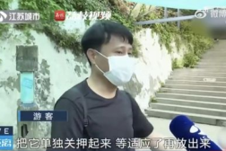 举牌网红吃瓜是谁,网络红人背后的真实故事