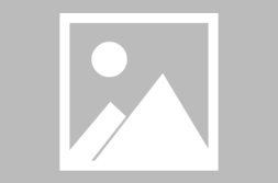 存一些发疯文学文案-发疯文学语录为了你我变成